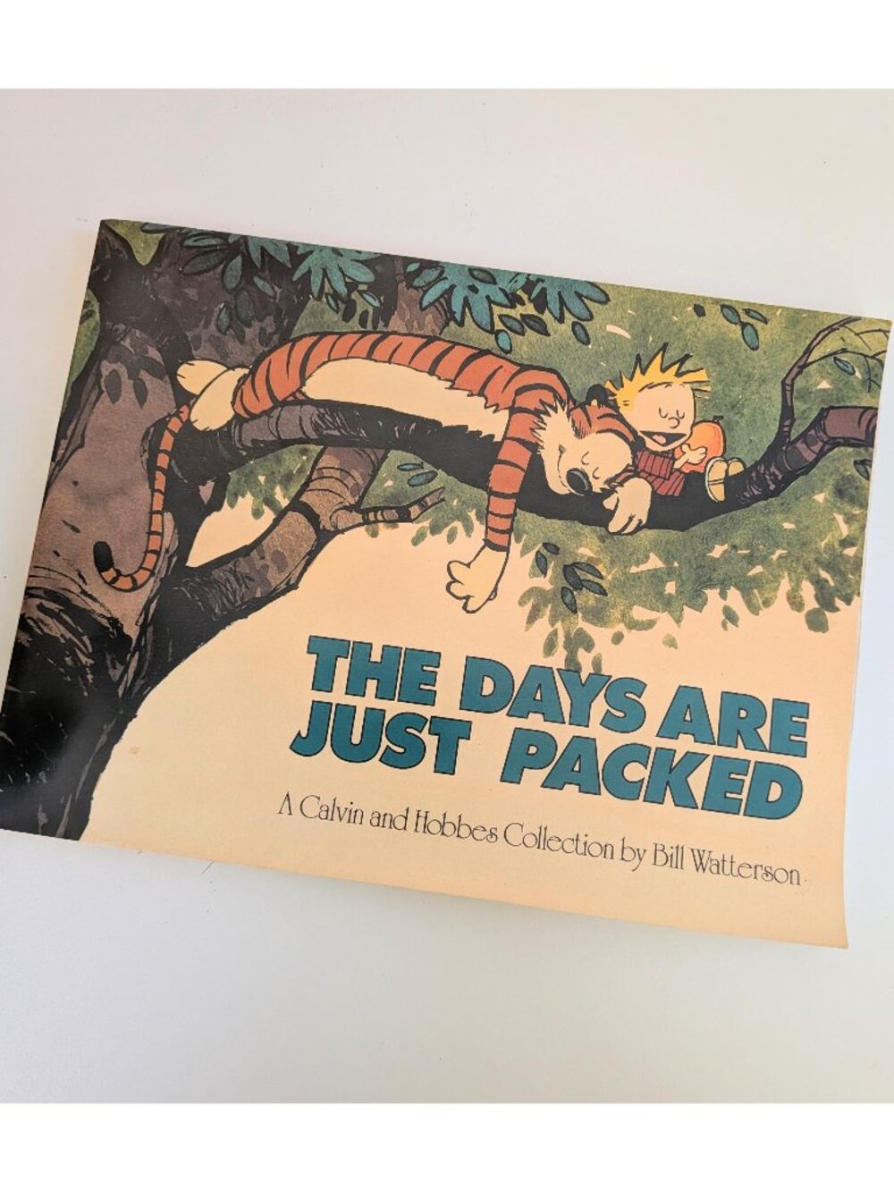 Vintage The Days Are Just Packed Calvin and Hobbes Comic Book | Bill Watterson